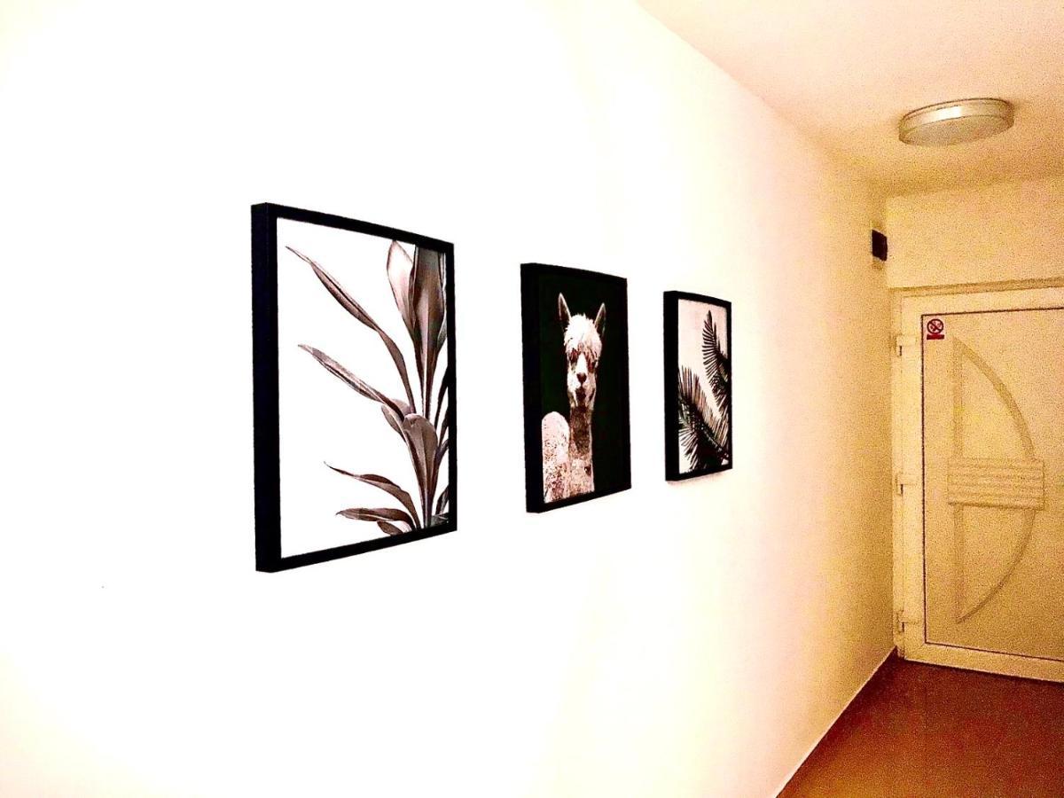 Vila Palit 497 D Apartment E Exterior photo